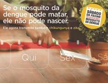 Quarta foto da campanha contra dengue